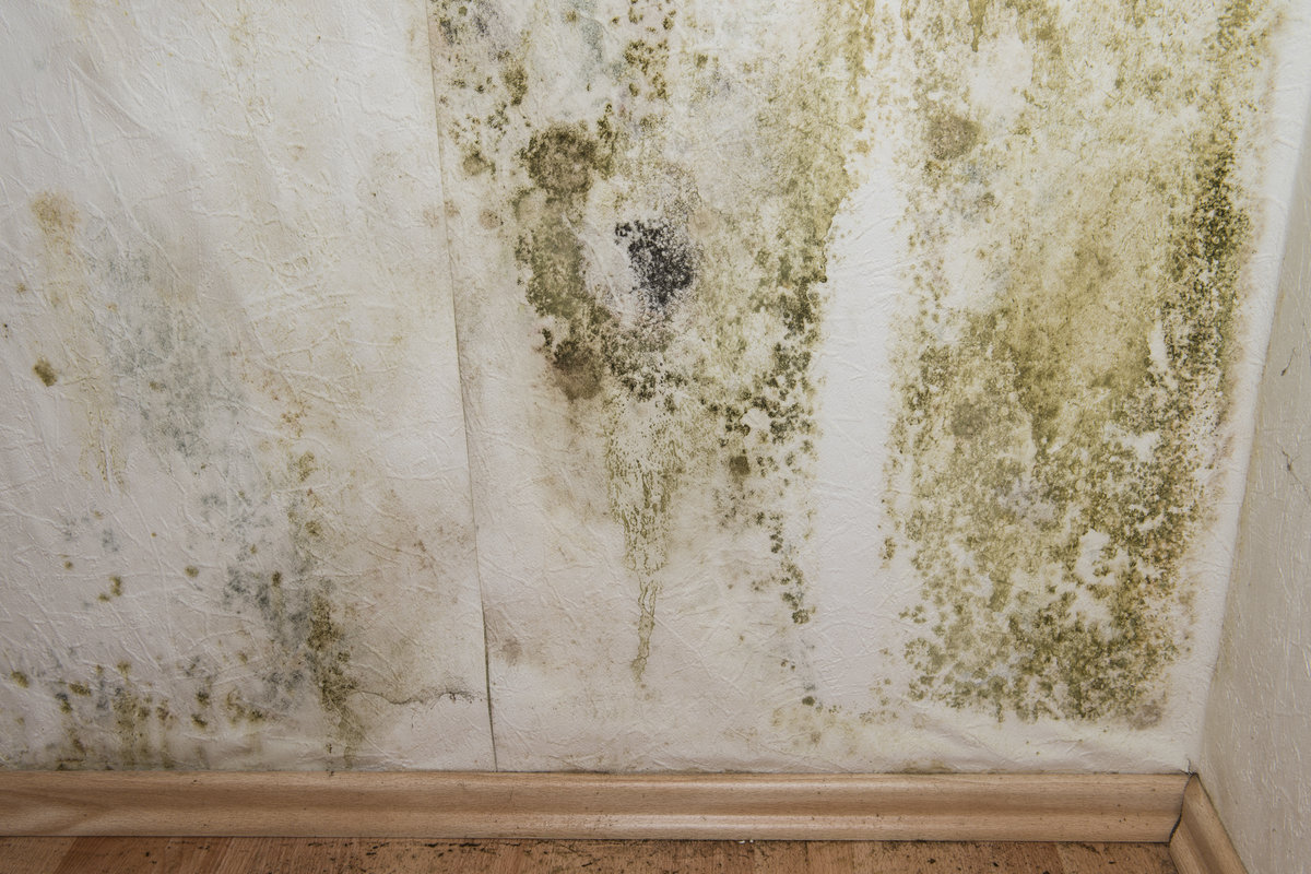 solutions contre remontee capillaire 2 découvrez des solutions efficaces contre les remontées capillaires pour protéger et restaurer vos murs. conseils pratiques et traitements durables pour un habitat sain.