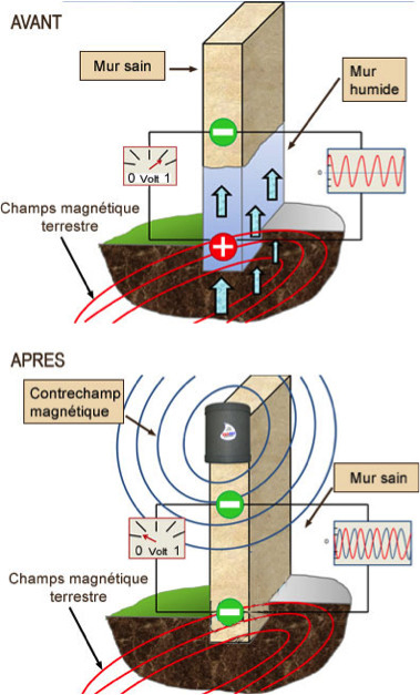 découvrez des solutions efficaces contre les remontées capillaires pour protéger vos murs de l'humidité et prévenir les dégâts structuraux.