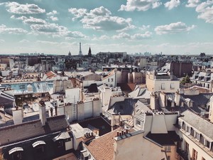 découvrez comment un toit d'immeuble à paris peut se transformer en une oasis urbaine, alliant détente, nature et augmentation de la valeur immobilière.