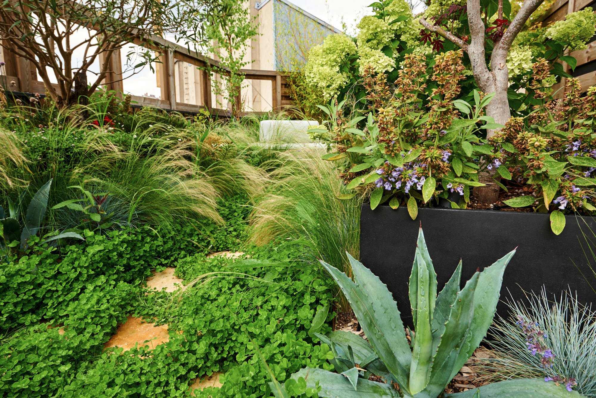 découvrez comment les toits des immeubles parisiens se transforment en oasis urbaines, apportant une valeur ajoutée unique à la ville lumière.