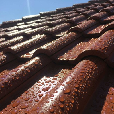toiture 1 découvrez nos solutions de toiture durables et esthétiques pour protéger et embellir votre habitation. expertise, qualité et service professionnel garantis.