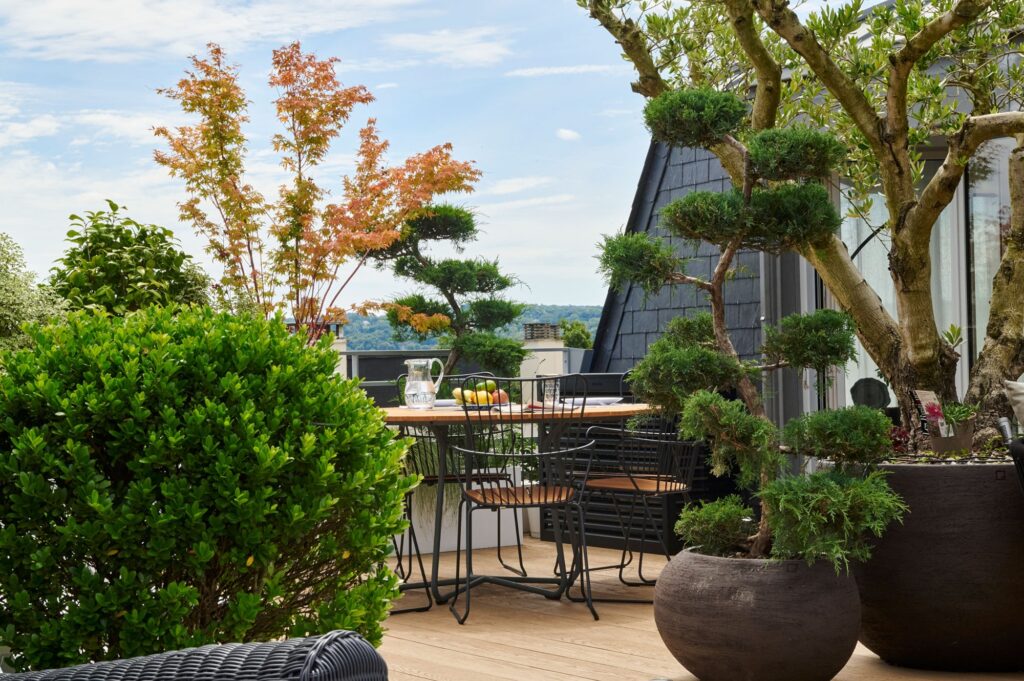 découvrez un architecte spécialisé à paris pour la création d’espaces extérieurs sur-mesure, alliant design et fonctionnalité pour votre terrasse idéale.