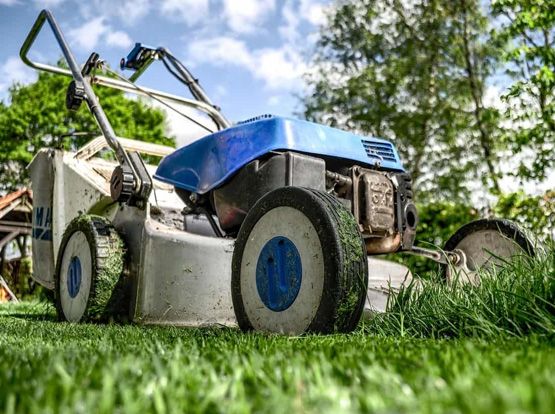 découvrez les atouts de vigneux-sur-seine (91270) : qualité de vie, dynamisme économique, espaces verts et patrimoine culturel au cœur de l'essonne.
