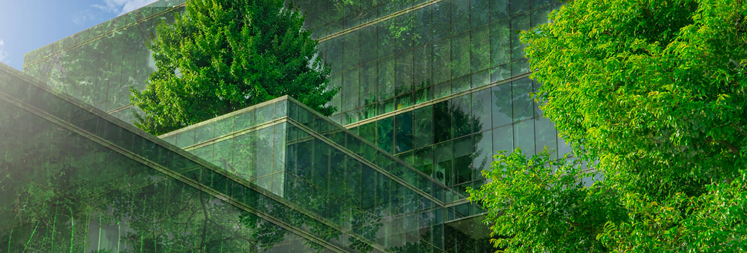 découvrez les innovations révolutionnaires qui façonnent le bâtiment du futur, alliant durabilité, technologie avancée et design intelligent pour construire des espaces de vie modernes et écologiques.