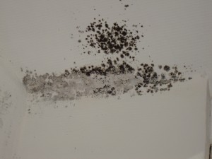causes fuites deau 1 découvrez les principales causes des fuites d'eau, comment les identifier rapidement et les solutions efficaces pour prévenir les dégâts des eaux.