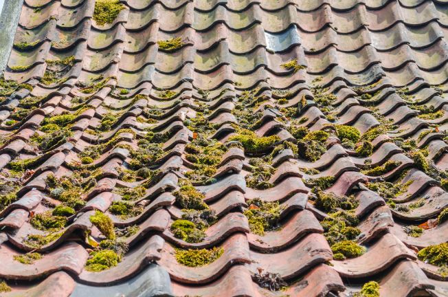 couvreur à éragny, experts en toitures et vitrages. services professionnels pour la réparation, l'installation et l'entretien de votre toiture et fenêtres.