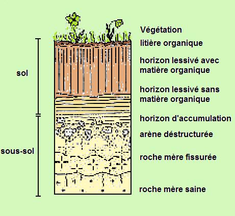 découvrez la définition précise du sous-sol, ses caractéristiques et son importance dans la construction et l'aménagement des bâtiments.