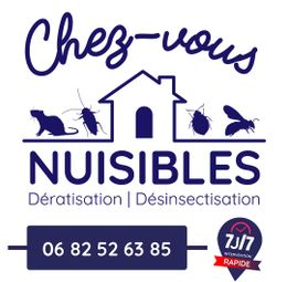 service de dératisation rapide et efficace près de chez vous pour éliminer rats et nuisibles. intervention professionnelle garantie.