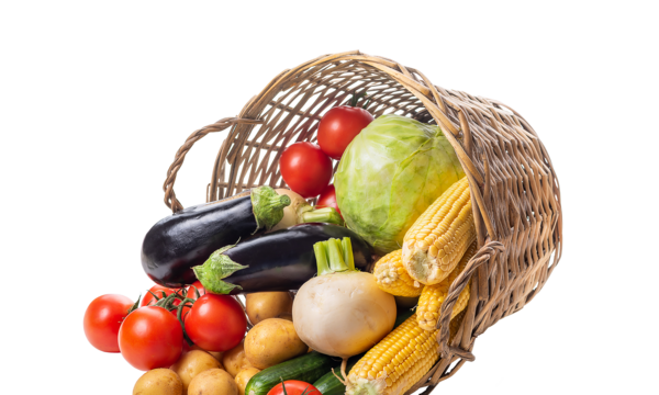 découvrez le guide vert le grand 91810 pour explorer les meilleures attractions, restaurants et activités incontournables de cette charmante commune.