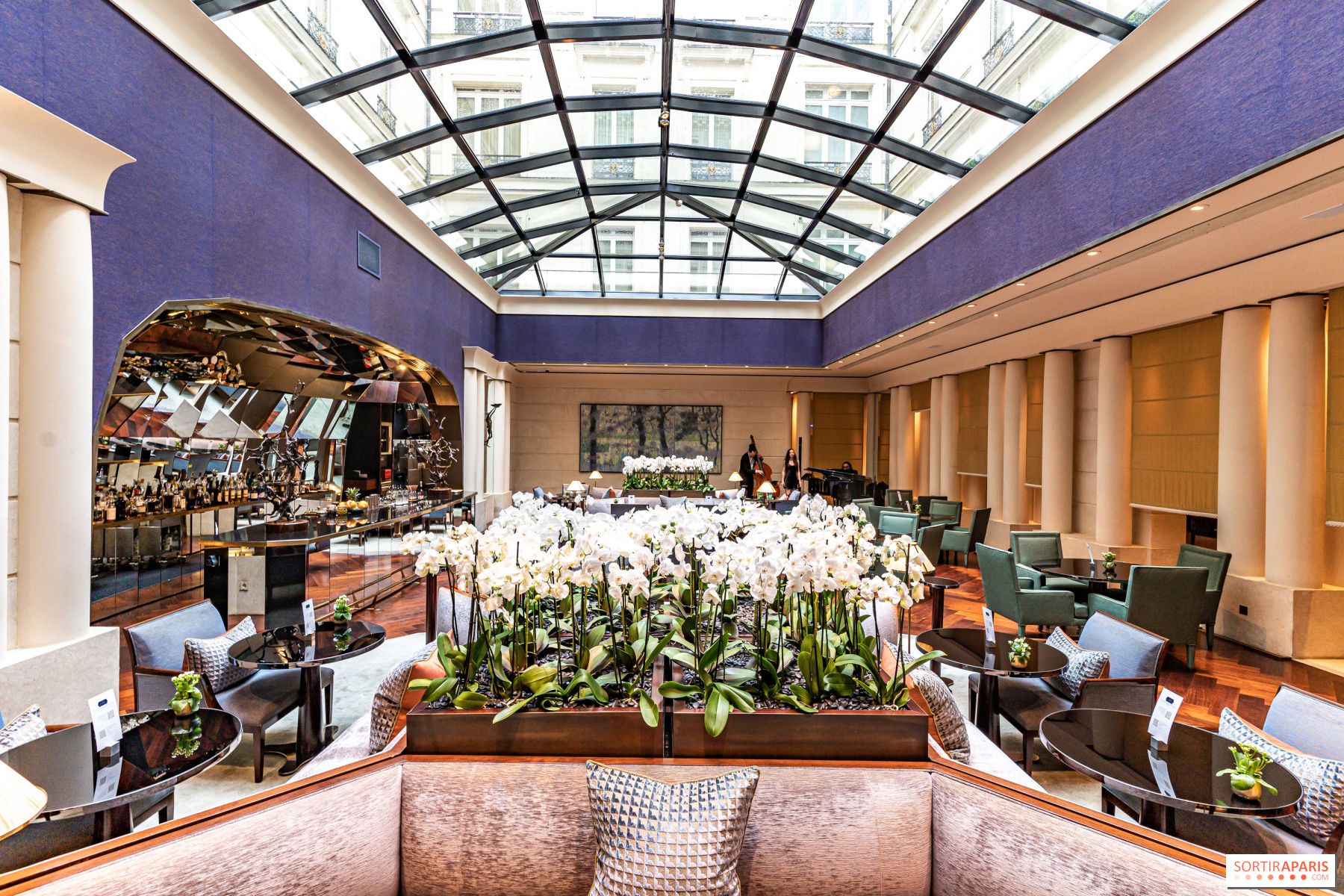 découvrez le hyatt paris, un symbole de luxe rénové en 2025, alliant élégance moderne et confort exceptionnel au cœur de la capitale.