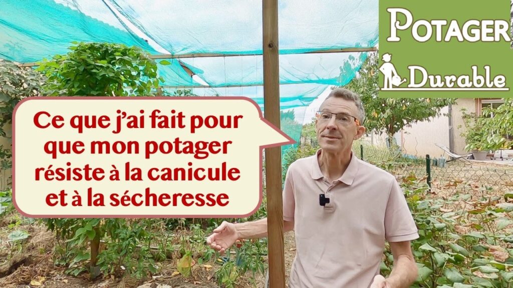 découvrez les astuces et conseils pratiques de jardin de seb pour entretenir votre jardin facilement et avec succès.
