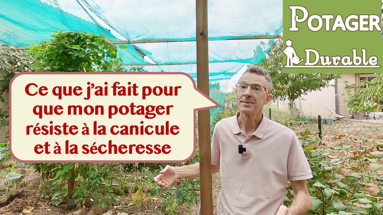 découvrez les astuces et conseils pratiques de jardin de seb pour entretenir votre jardin facilement et avec succès.