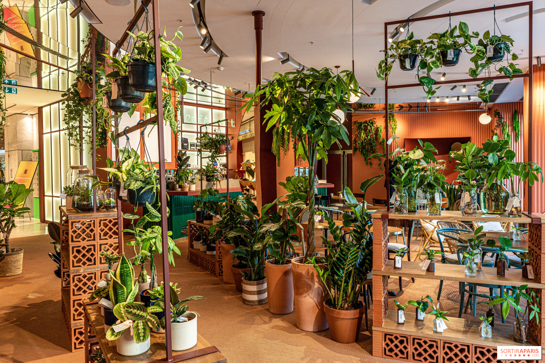 découvrez notre sélection de plantes d'intérieur idéales pour sublimer votre appartement haussmannien avec élégance et style.