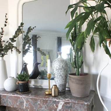 découvrez comment intégrer parfaitement une plante intérieure dans un appartement haussmannien pour apporter élégance et fraîcheur à votre espace de vie.