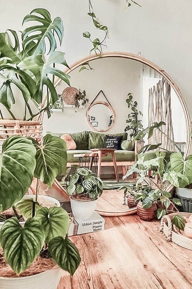 découvrez notre sélection de plantes déco pour sublimer votre intérieur avec élégance et naturel. idéales pour apporter une touche de verdure et de fraîcheur à votre décoration.