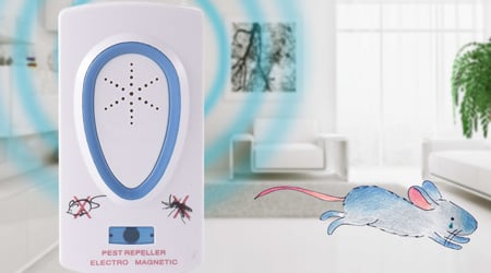 découvrez nos prix compétitifs pour un dératiseur efficace et débarrassez-vous rapidement des nuisibles avec des solutions professionnelles adaptées à vos besoins.