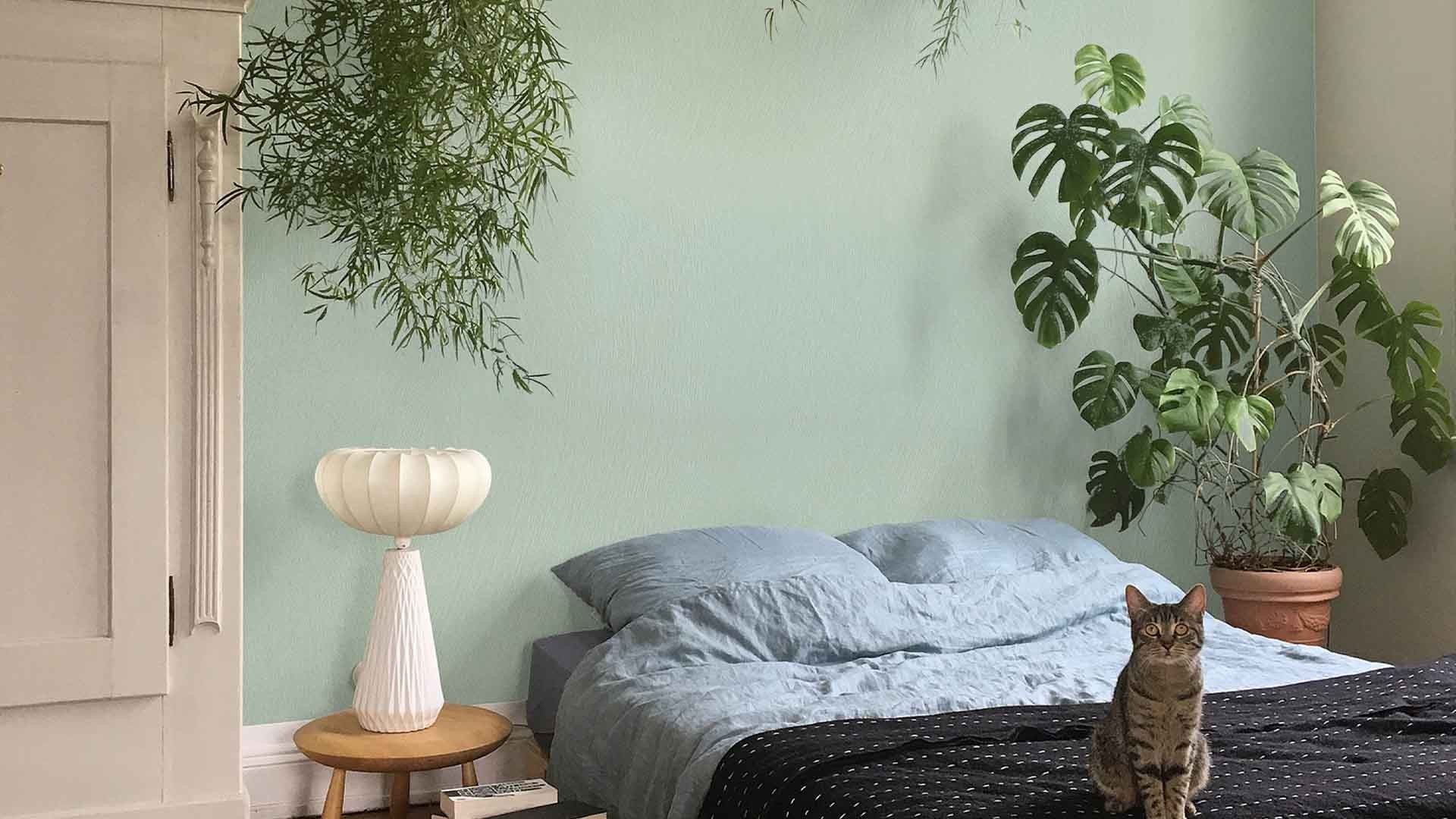 découvrez nos astuces éco pour réduire le prix de votre enduit peinture tout en obtenant un résultat de qualité et durable.