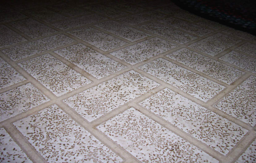 découvrez le prix au m² du lino pour sol et trouvez des conseils pour choisir et installer votre revêtement de sol en lino à un tarif compétitif.