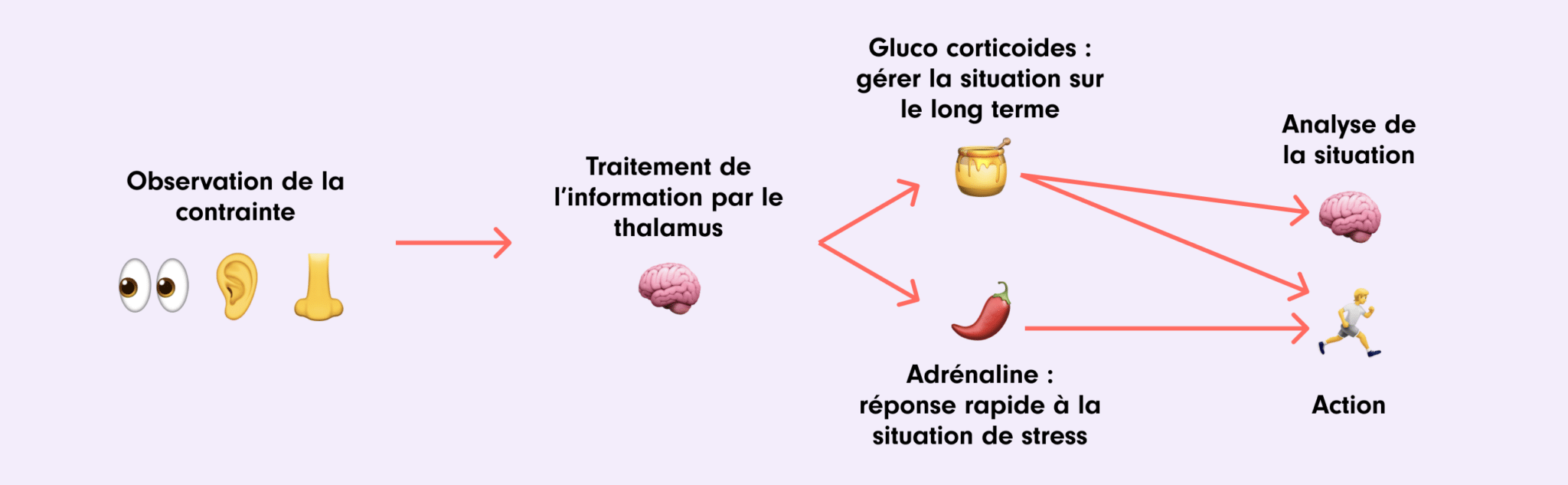 découvrez notre service de projet clé en main sans stress, où nous gérons chaque étape pour vous offrir une expérience sereine et réussie.