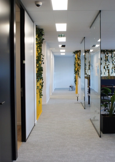 renovation bureaux paris expertise en rénovation de bureaux à paris pour des espaces de travail modernes, fonctionnels et esthétiques. transformez votre environnement professionnel avec nos solutions sur mesure.