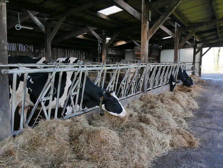 découvrez nos conseils pratiques pour rénover votre fermette tout en réalisant des économies. astuces, matériaux et étapes clés pour un projet réussi et abordable.