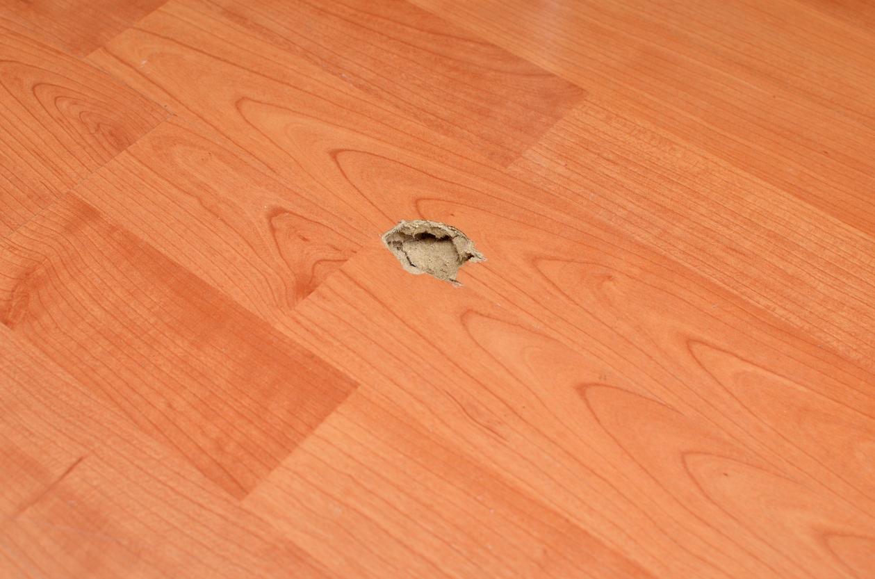 service professionnel de réparation de parquet pour restaurer la beauté et la durabilité de vos sols en bois. intervention rapide et résultats de qualité.