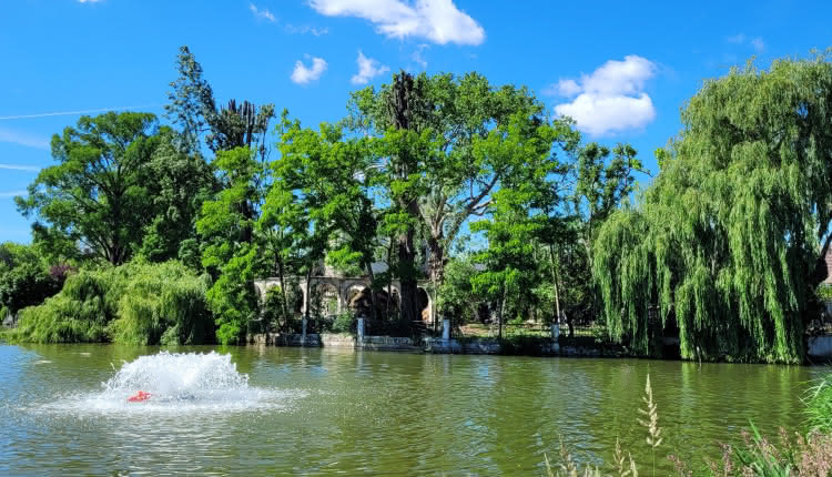 découvrez comment créer une terrasse de rêve dans le val d’oise, alliant confort, design et nature pour des moments inoubliables en plein air.