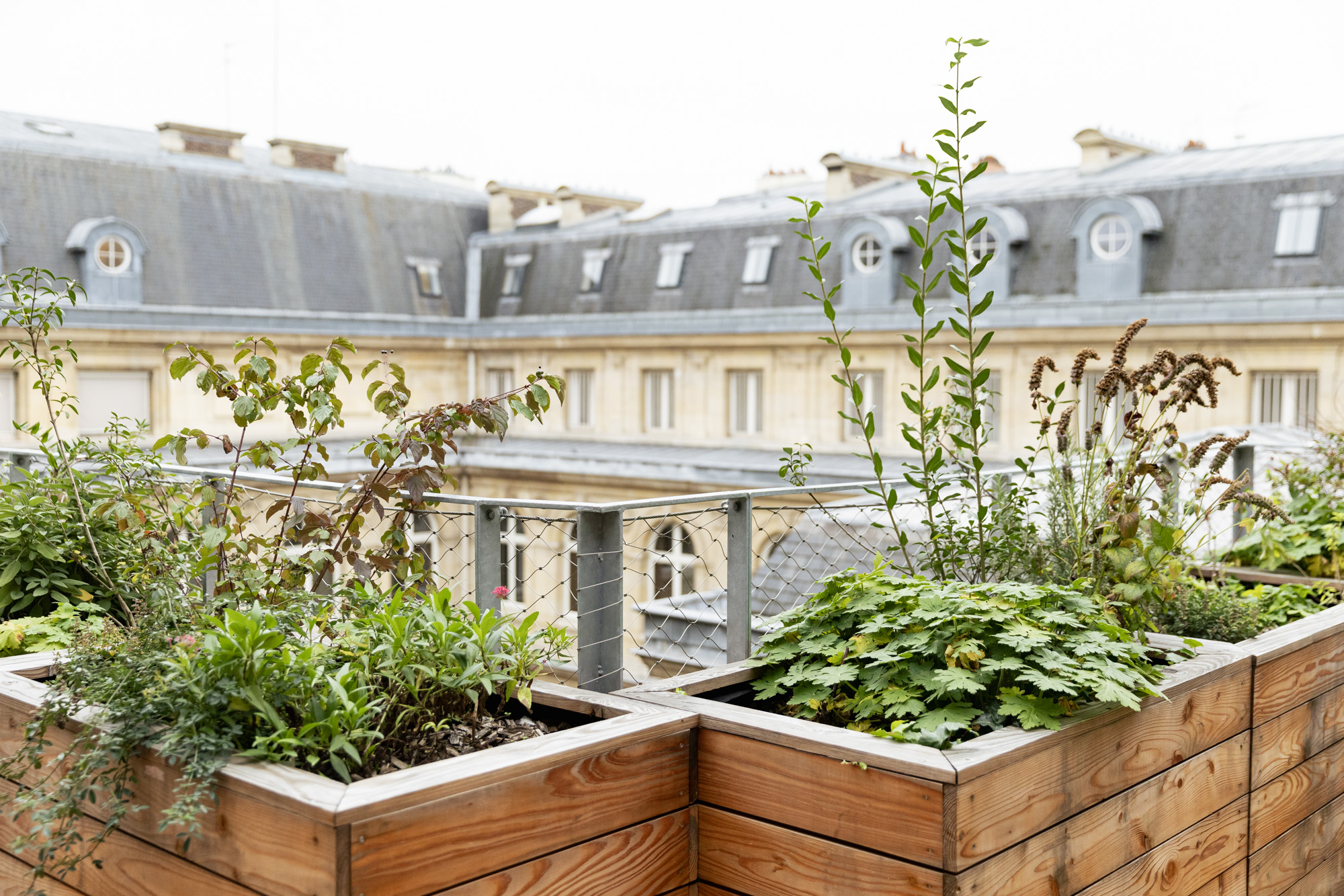 découvrez un toit terrasse unique à paris offrant une vue exceptionnelle, un espace convivial et un design moderne pour profiter pleinement de la vie urbaine.