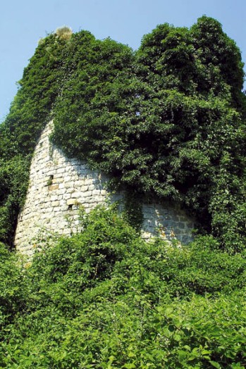 découvrez villeconin (91580), un village charmant et agréable, riche en histoire et en secrets à explorer pour une escapade authentique.