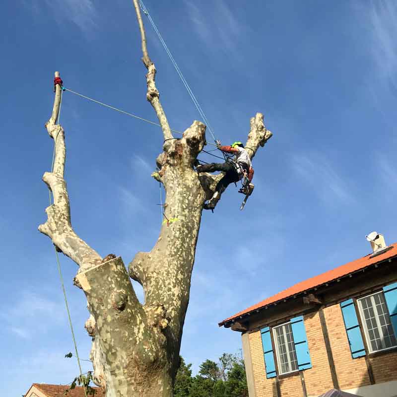 services professionnels d'abattage de maison : démolition sécurisée et rapide pour vos projets de construction ou de rénovation.