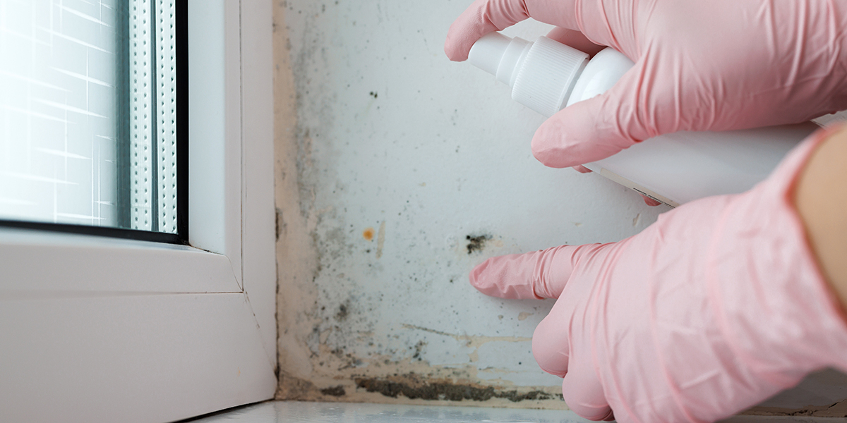 découvrez nos astuces efficaces pour dire adieu aux moisissures et créer une maison saine et agréable à vivre.