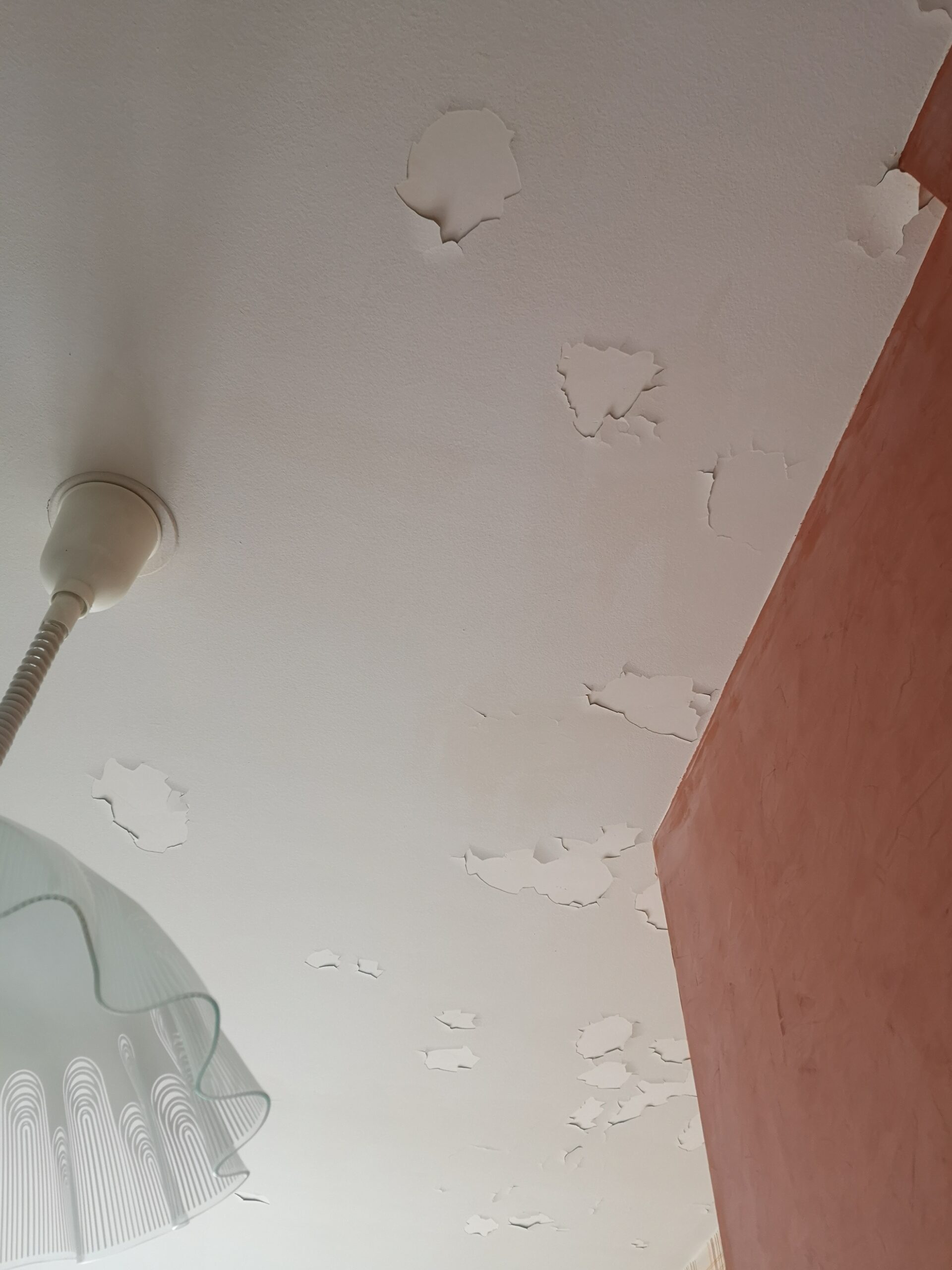 découvrez comment choisir entre la finition papier peint ou peinture pour sublimer vos murs selon votre style et vos besoins.