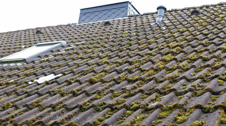 découvrez le coût de la dépose de toiture, incluant les tarifs moyens, les facteurs influençant le prix et des conseils pour bien préparer votre projet de rénovation.