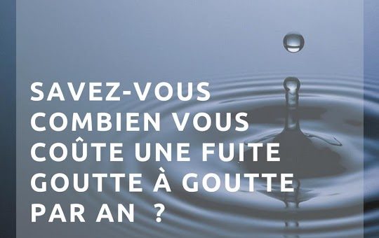 découvrez le coût moyen pour une intervention de plombier en cas de fuite d'eau. estimations, conseils et tarifs pour réparer rapidement et efficacement.