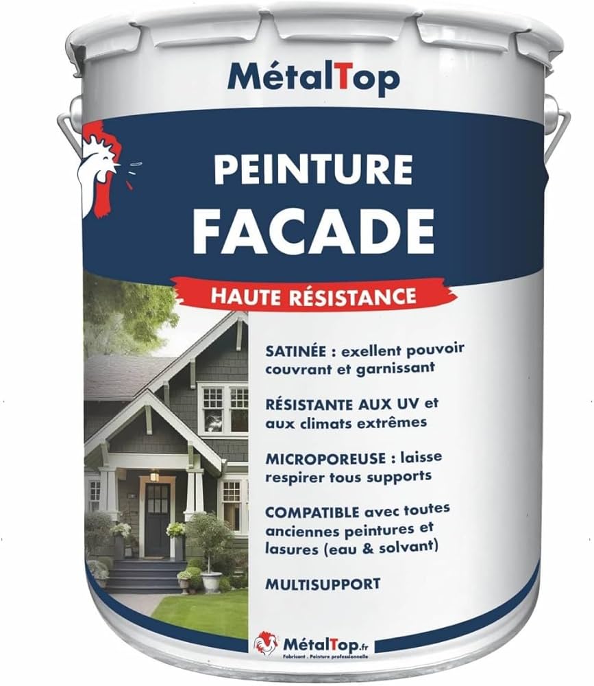 découvrez le coût de la peinture extérieure pour votre maison : estimation des prix, facteurs influençant le tarif, et conseils pour bien préparer vos travaux de rénovation.