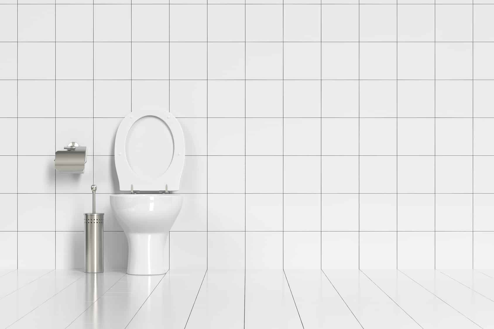 cout renovation toilettes 2 découvrez les facteurs influençant le coût de la rénovation des toilettes et obtenez des conseils pour un budget maîtrisé.
