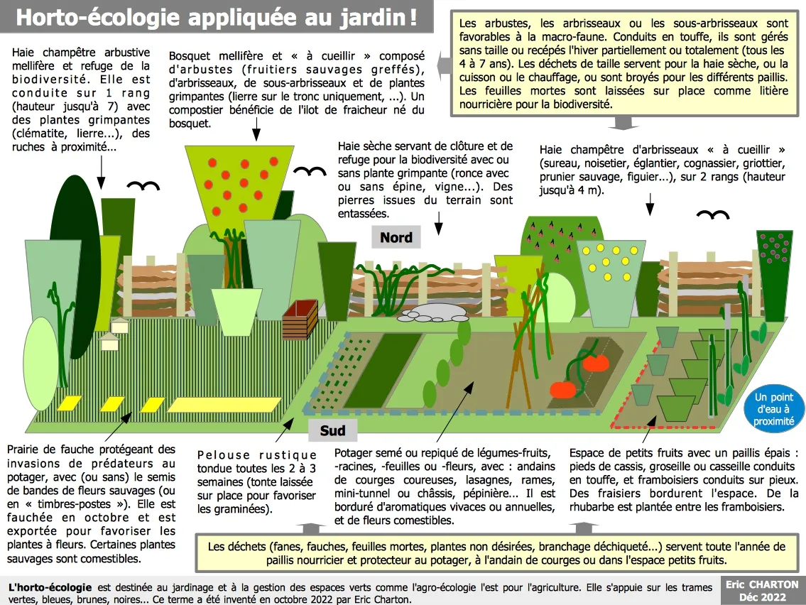 découvrez green jardin, votre havre écologique où nature et jardinage durable se rencontrent pour créer un espace vert harmonieux et respectueux de l'environnement.