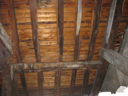 isolation des combles à paris 11e avec ouate de cellulose pour une maison plus confortable et écologique. profitez d'une isolation performante et durable.