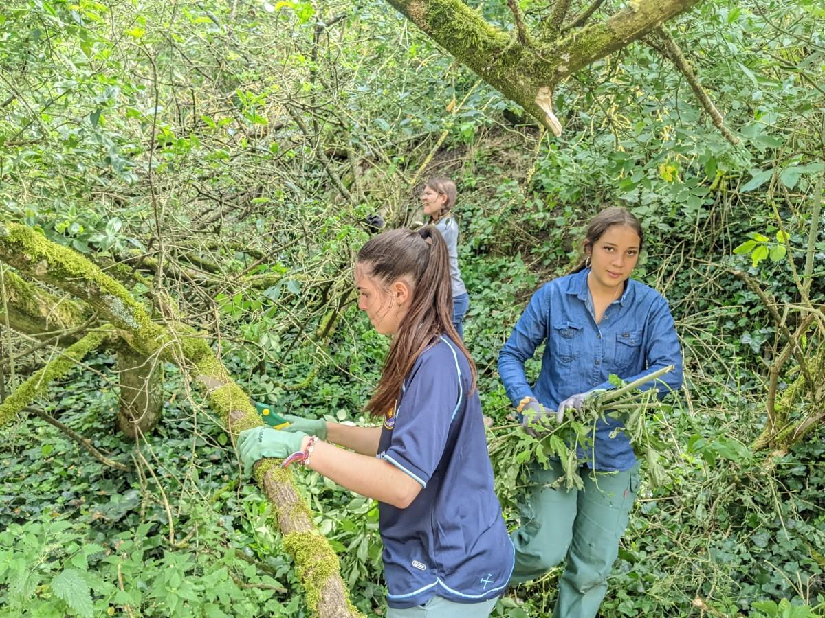 découvrez les meilleures ruines à rénover près de paris en 2025, un guide complet pour investir dans des biens à fort potentiel et réaliser vos projets de rénovation.