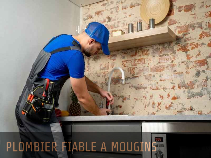 découvrez un plombier fiable pour tous vos besoins en plomberie. intervention rapide, travaux de qualité et conseils personnalisés pour votre tranquillité.