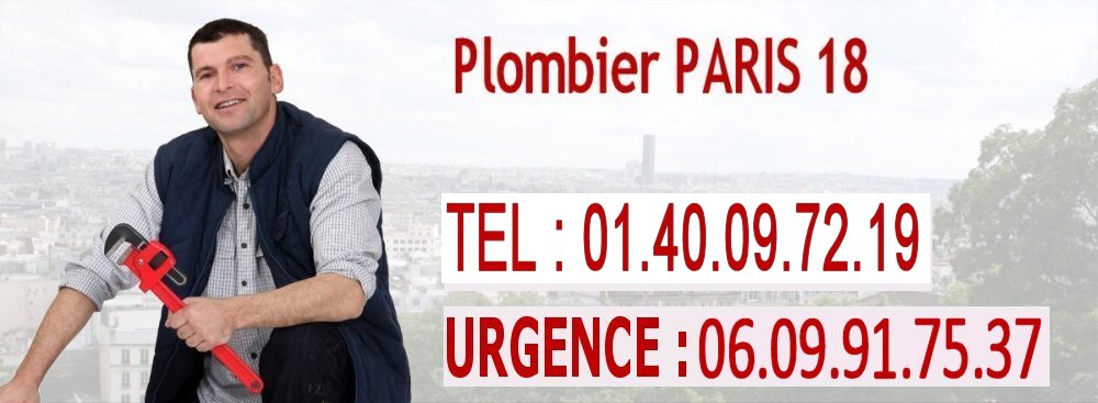 plombier expert à paris, spécialisé dans la recherche et la réparation rapide de fuites d'eau pour garantir votre tranquillité.