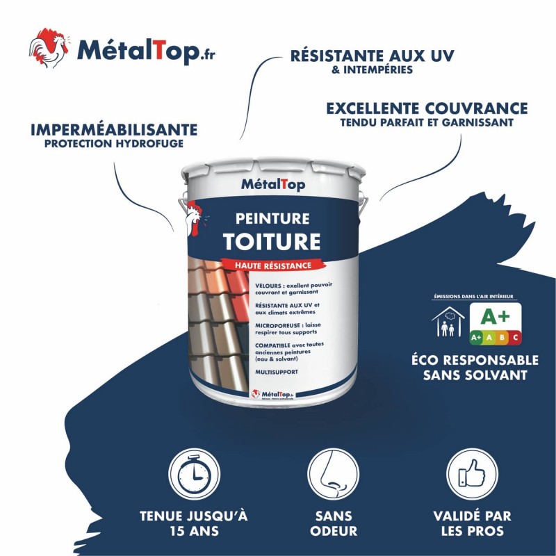découvrez les prix de la main-d'œuvre pour la peinture de toiture et obtenez une estimation précise pour vos travaux de rénovation extérieure.