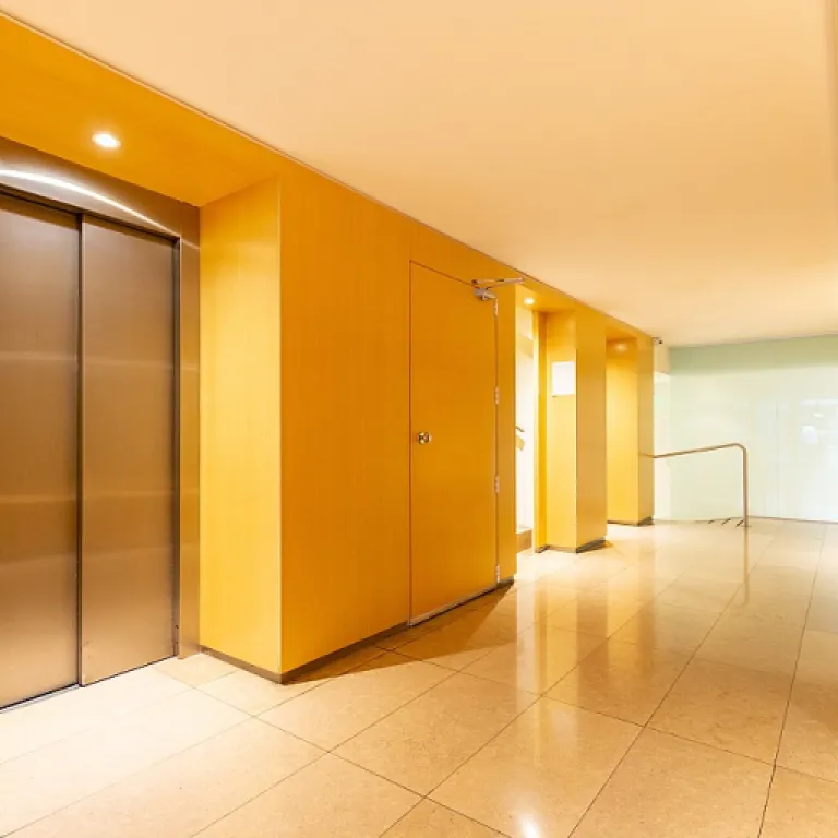 découvrez comment refaire votre maison gratuitement grâce à nos astuces, conseils et solutions innovantes pour économiser sur vos travaux de rénovation.