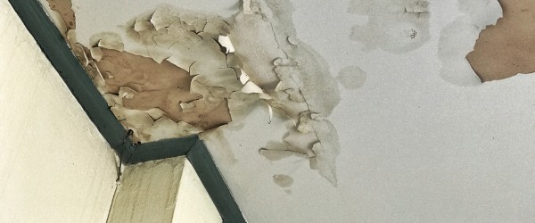 service professionnel de réfection de plafond pour réparer et embellir vos espaces intérieurs avec des finitions de qualité.