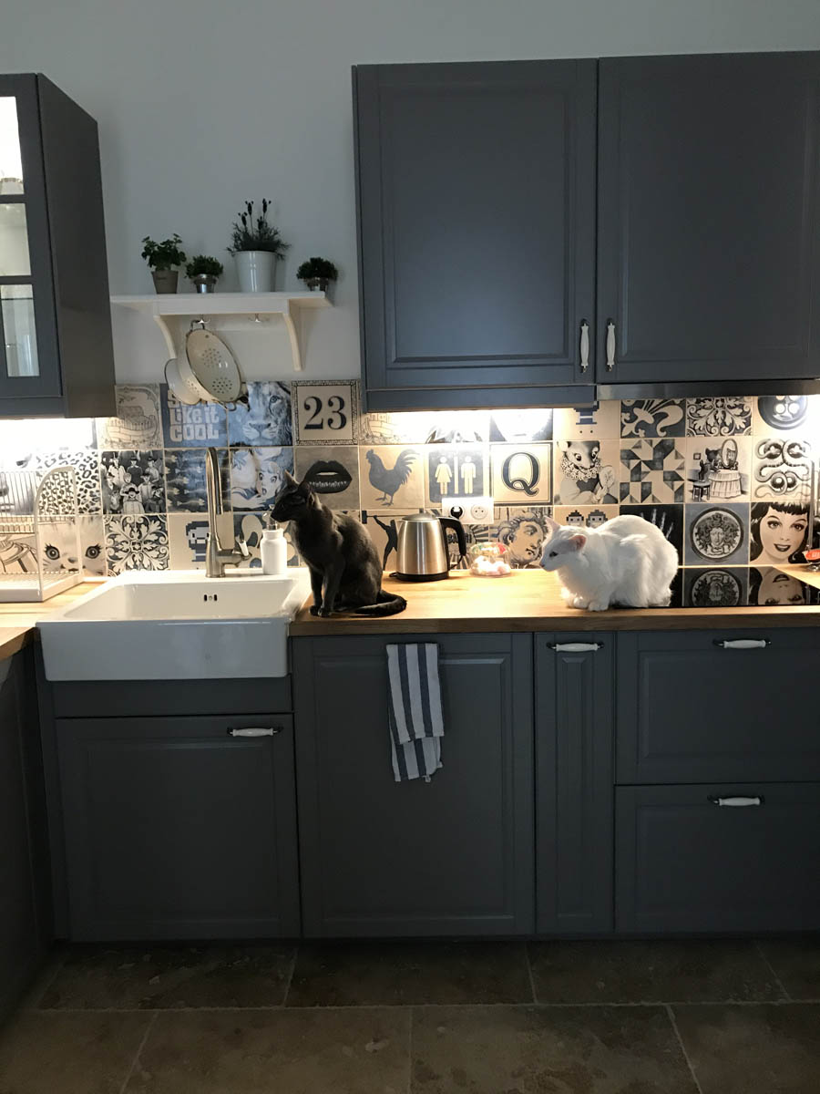 découvrez nos solutions de rénovation pour cuisine en bois, alliant charme naturel et modernité, pour un espace chaleureux et fonctionnel.