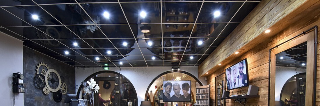 découvrez nos solutions expertes pour la rénovation de faux plafond, alliant esthétique et fonctionnalité pour transformer vos espaces intérieurs.