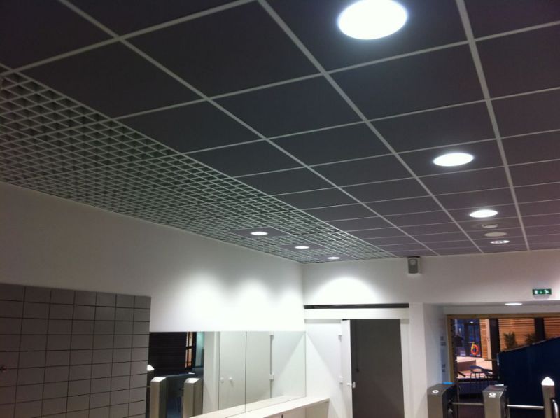 découvrez nos solutions professionnelles pour la rénovation de faux plafond : améliorez l'esthétique et l'isolation de vos espaces avec des matériaux de qualité.