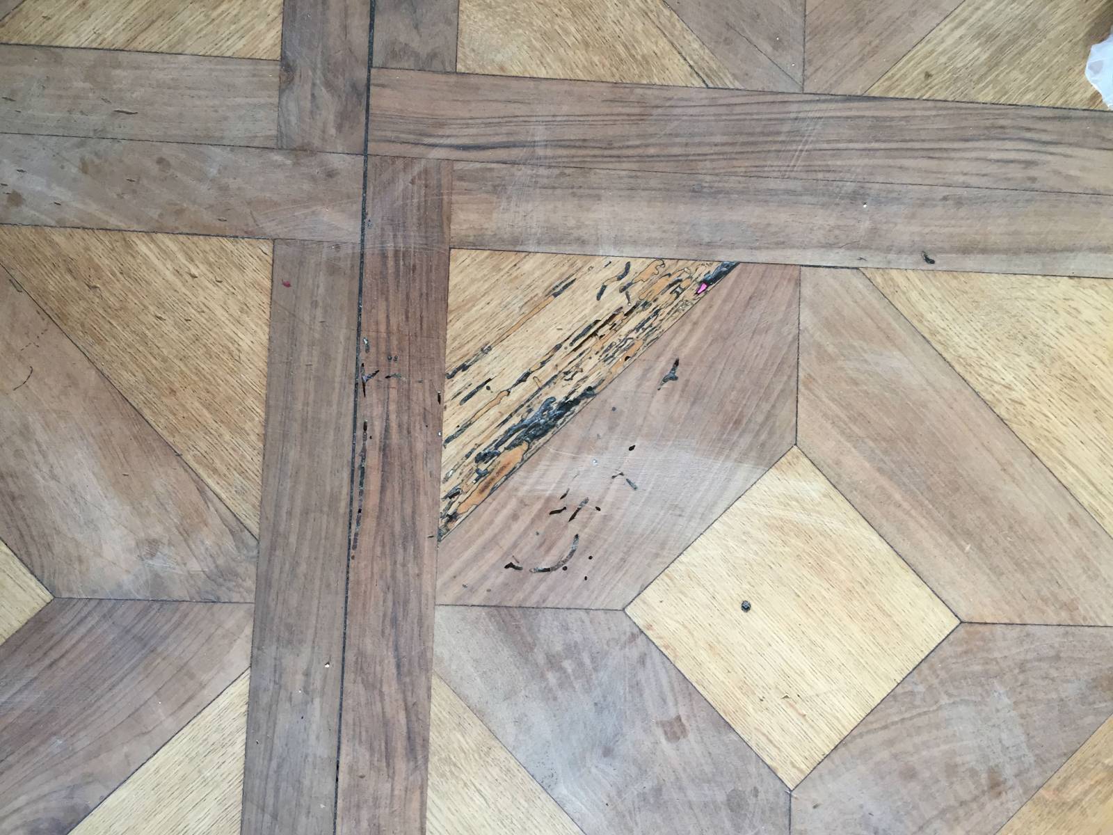 expert en rénovation de parquet à paris et marseille, nous redonnons vie à vos sols avec savoir-faire et qualité. devis gratuit et intervention rapide.