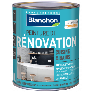 découvrez nos services professionnels de rénovation peinture pour redonner vie et fraîcheur à vos espaces intérieurs et extérieurs.