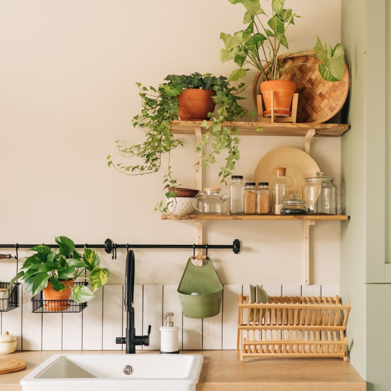 découvrez nos astuces et conseils pour rénover votre cuisine pas cher tout en alliant style, fonctionnalité et économies.